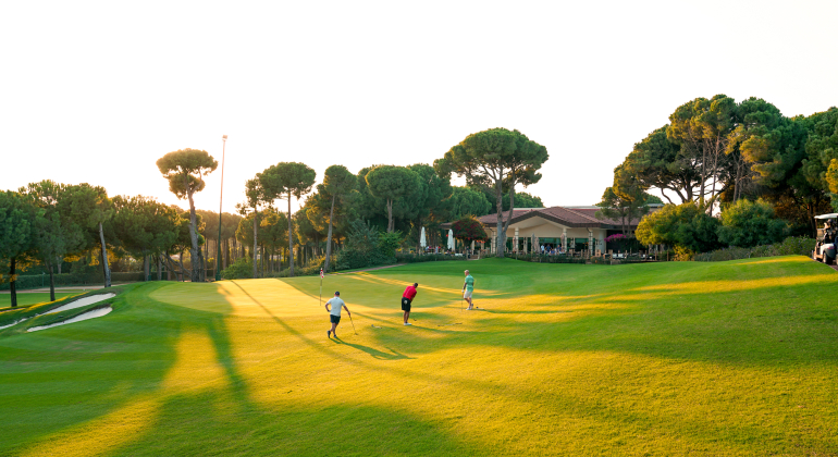 Regnumcarya Carya Golf Club 55